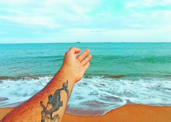 Ery Medeiros e o sereismo