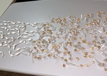 PMBA apreeende indivíduos por tráfico de drogas em Medeiros Neto