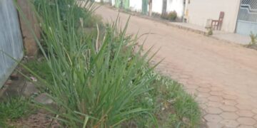 Mato nas ruas domina discussões na Câmara de Vereadores de Itanhém