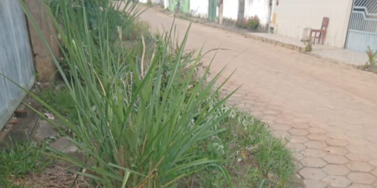 Mato nas ruas domina discussões na Câmara de Vereadores de Itanhém