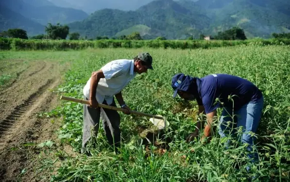 Agricultores familiares podem regularizar dívidas com descontos de até 80% pelo Desenrola Rural