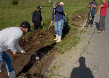 Ciclistas de Itanhém se mobilizam para limpar acostamento tomado pelo mato em direção a Batinga
