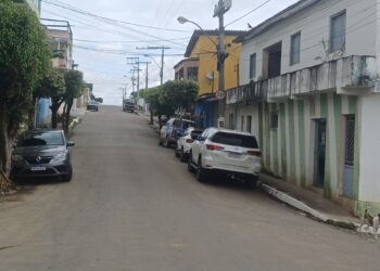 Ataques de cachorros soltos na Avenida Maria Moreira Lisboa preocupam moradores