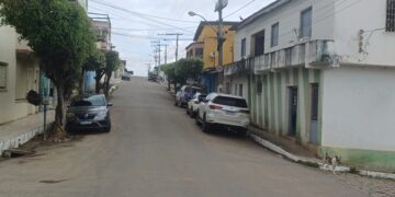 Ataques de cachorros soltos na Avenida Maria Moreira Lisboa preocupam moradores
