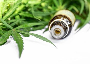 Anvisa aprova cultivo de cannabis por empresas e amplia acesso