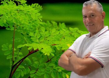 A planta que virou solução: Sadizinho fala sobre a moringa no Pod Café