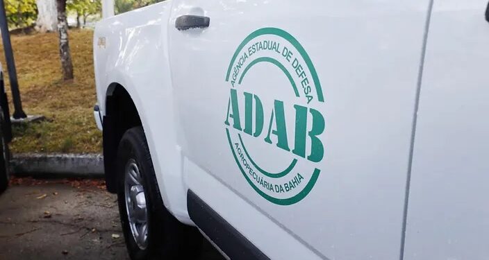 Concurso da Adab reabre inscrições com 200 vagas e salários de até R$ 7,4 mil