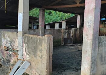 Prefeitura de Itanhém decide encerrar abate de suínos e curtume no Curral da Matança