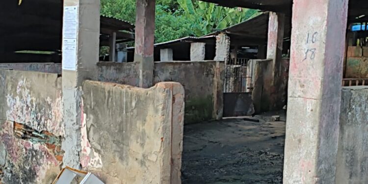 Prefeitura de Itanhém decide encerrar abate de suínos e curtume no Curral da Matança